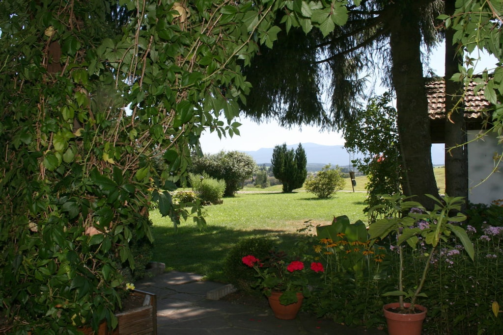 50004