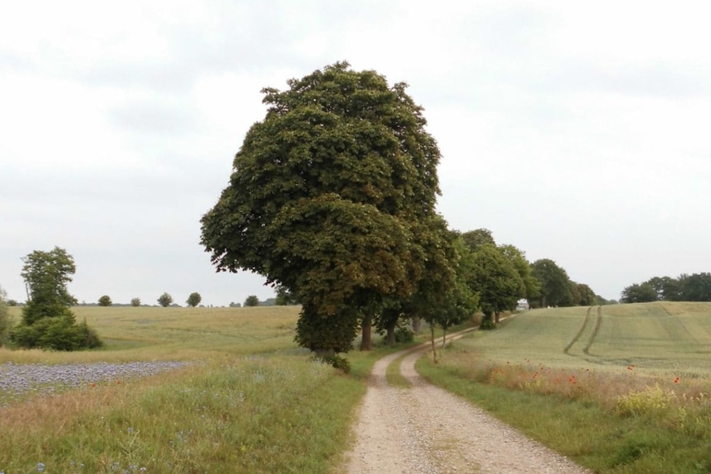 139763 - Niet-getagd