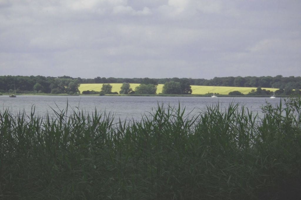 139763 - Niet-getagd