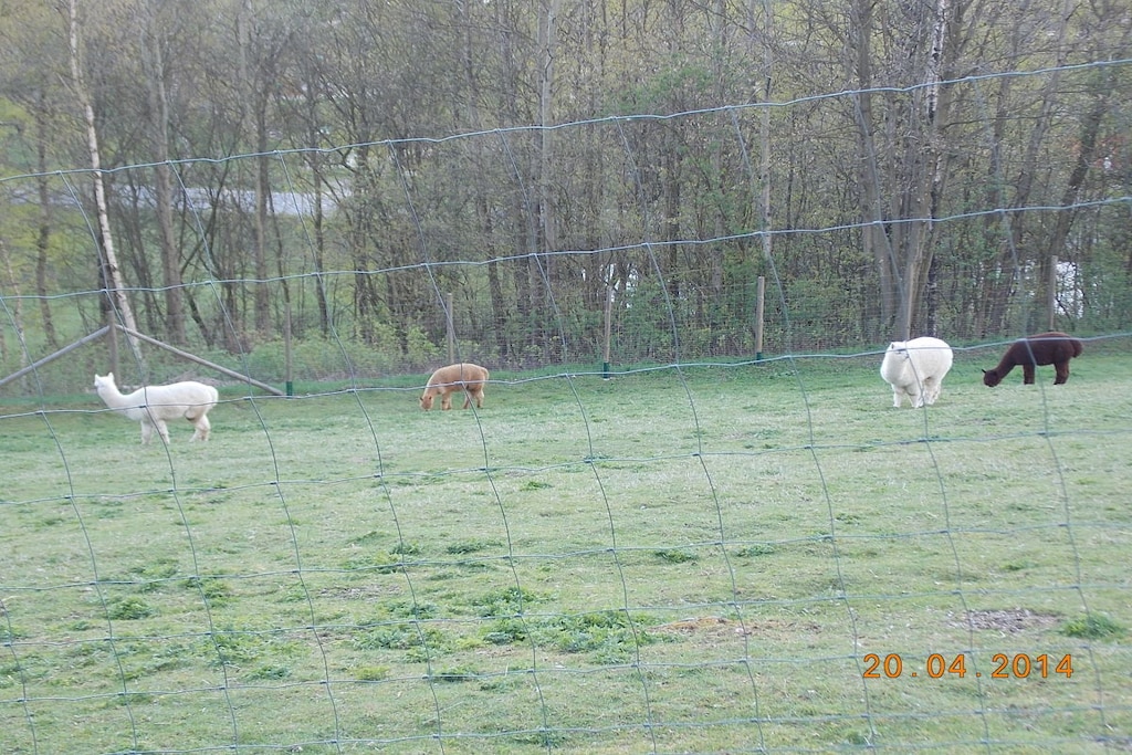 229783 - Niet-getagd