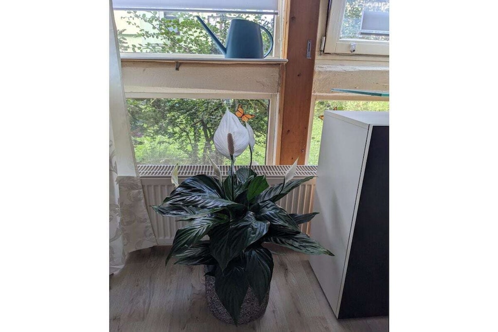 493301 - Niet-getagd