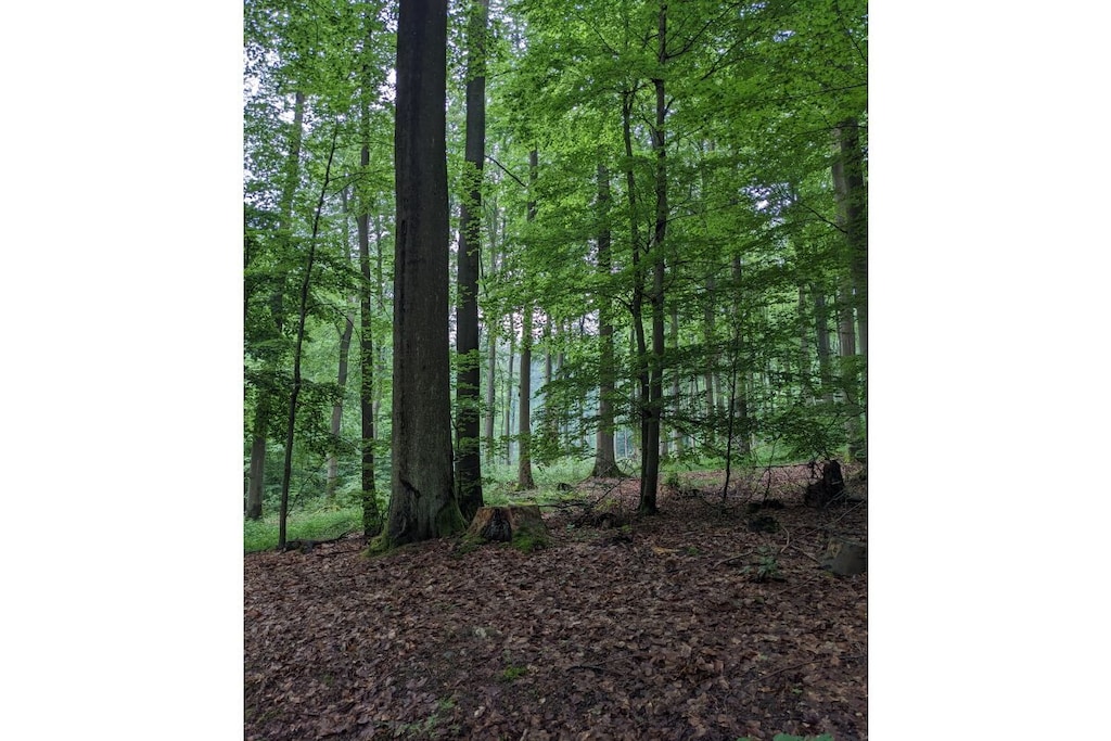493301 - Niet-getagd