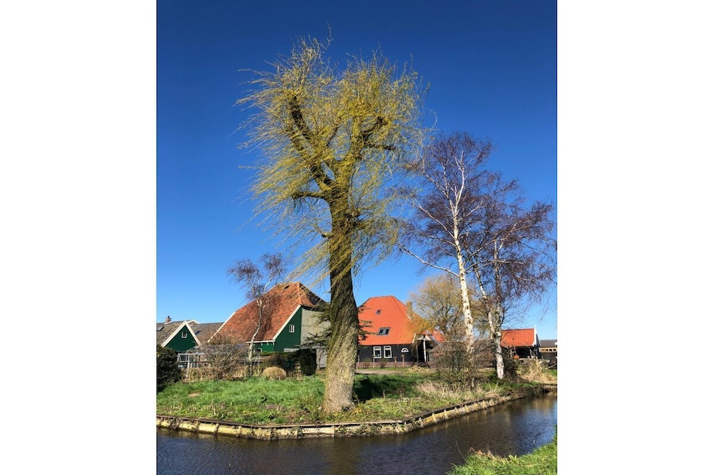 169161 - Niet-getagd
