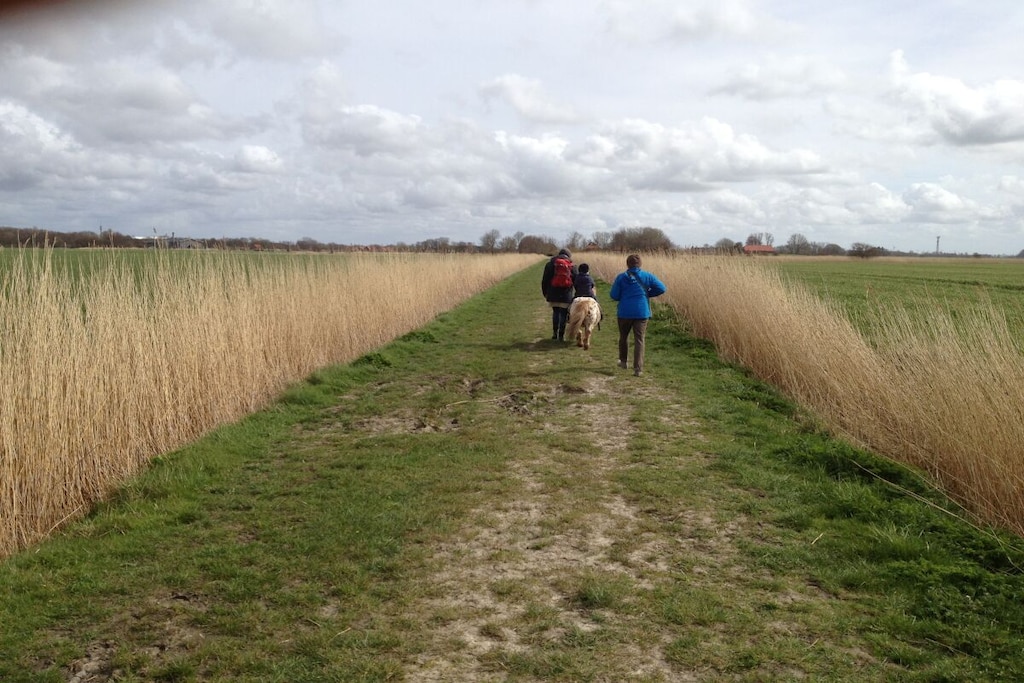 113100 - Niet-getagd