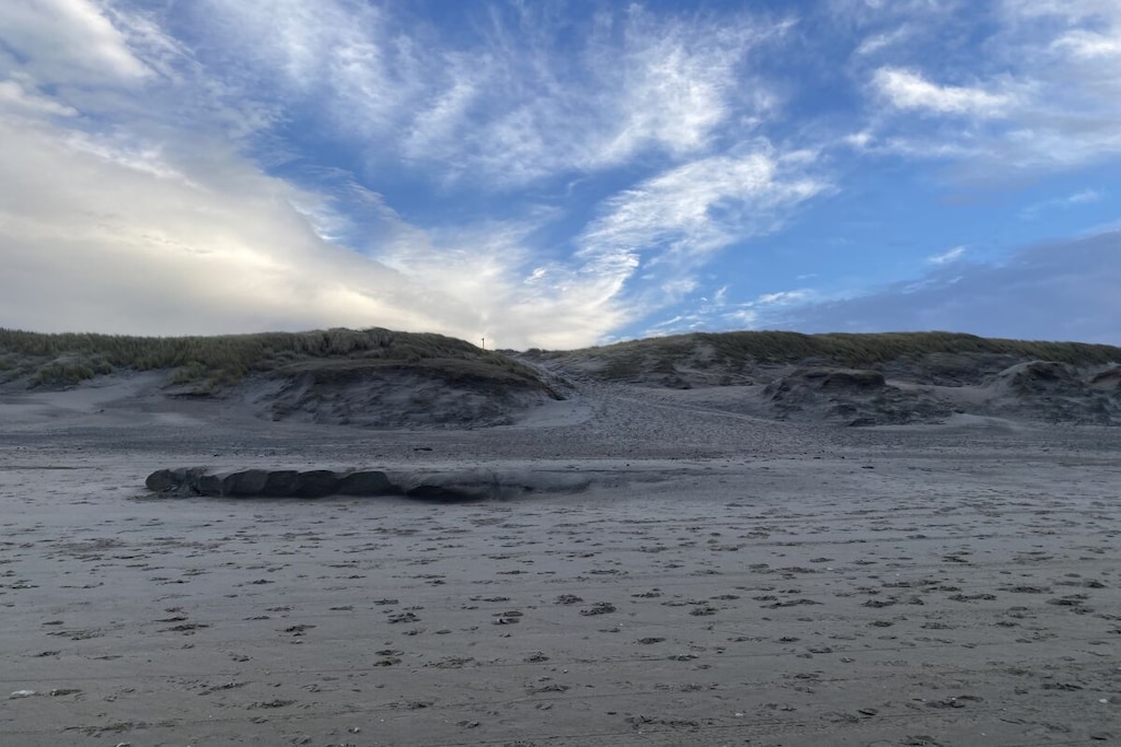 91038 - Niet-getagd