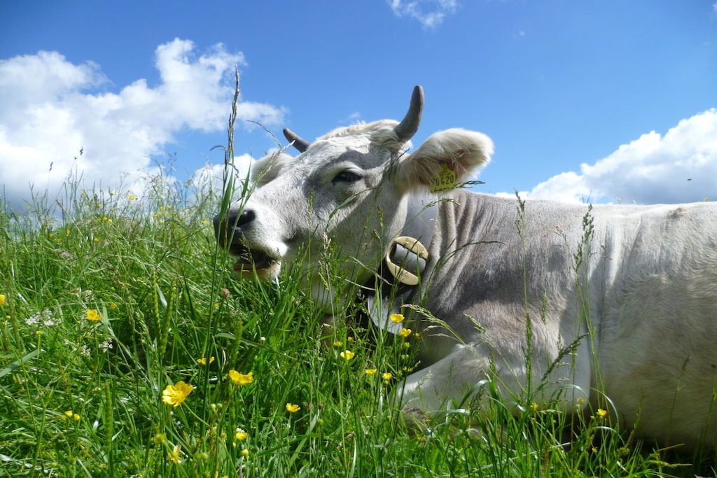 23345 - Niet-getagd