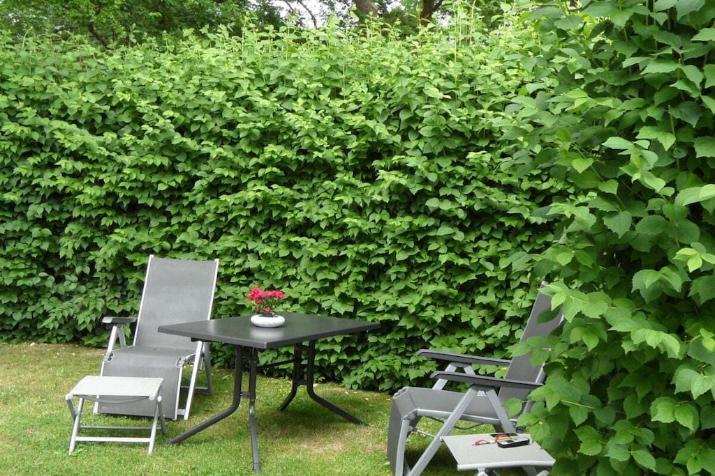 44129 - Niet-getagd