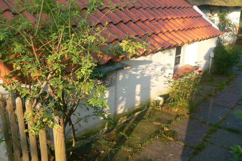 209525 - Niet-getagd