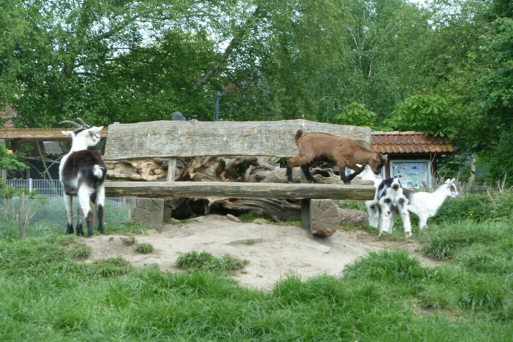 209525 - Niet-getagd