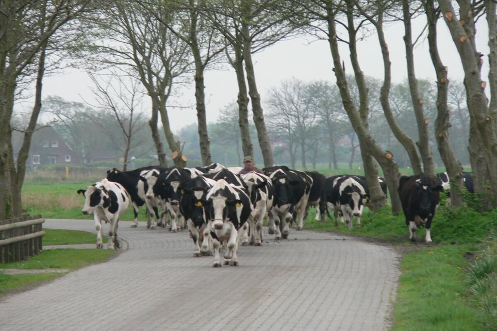 209525 - Niet-getagd