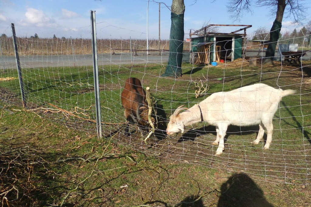 169415 - Niet-getagd