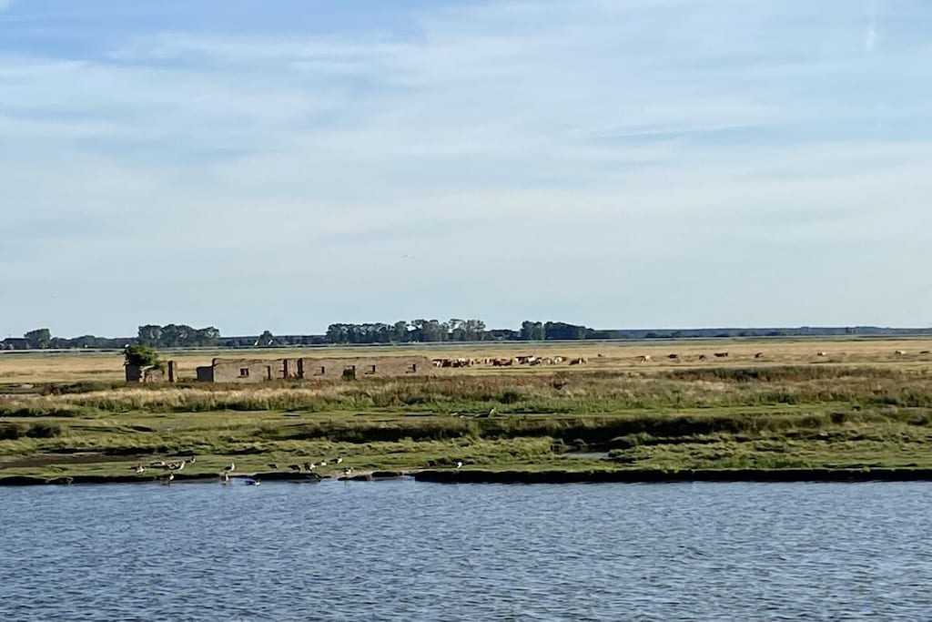 59487 - Niet-getagd