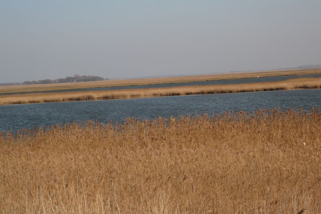 59487 - Niet-getagd