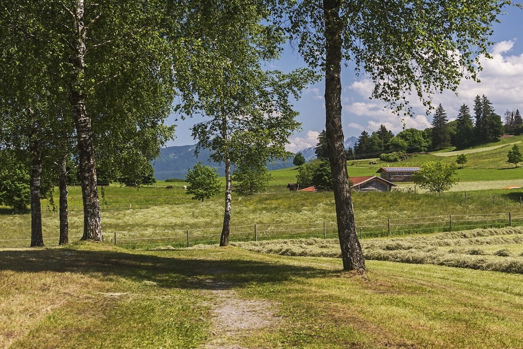 66329 - Nicht zugeordnet