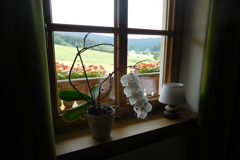 290757 - Niet-getagd