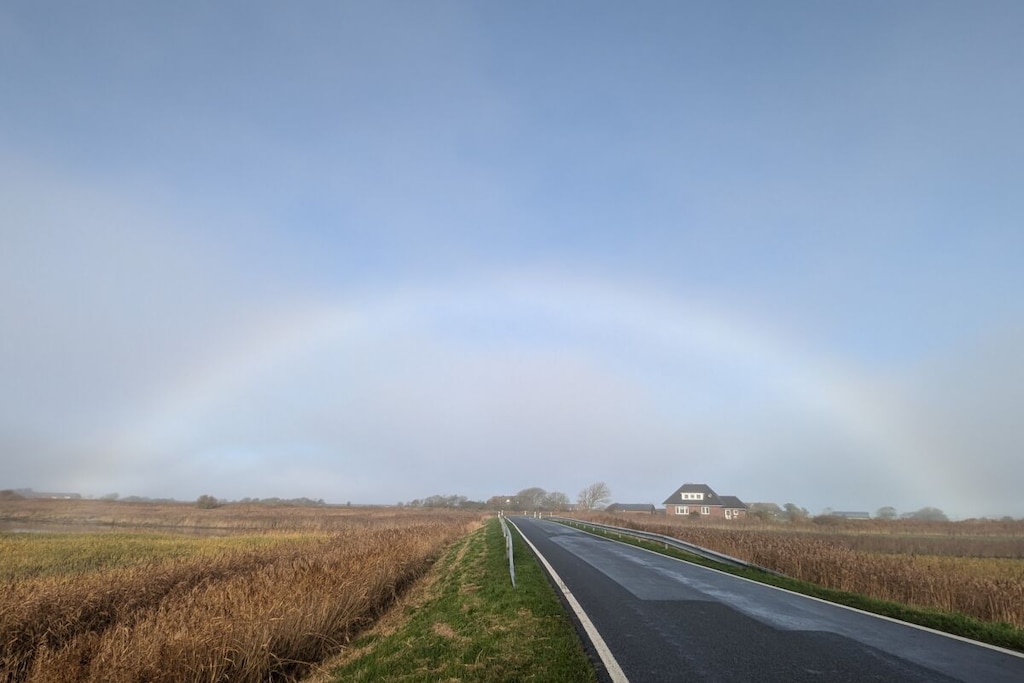 113227 - Niet-getagd