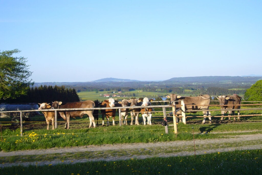 139753 - Nicht zugeordnet