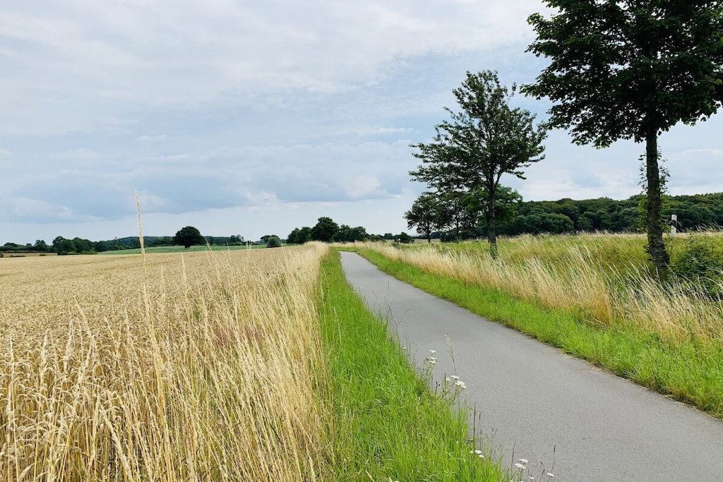 240871 - Niet-getagd