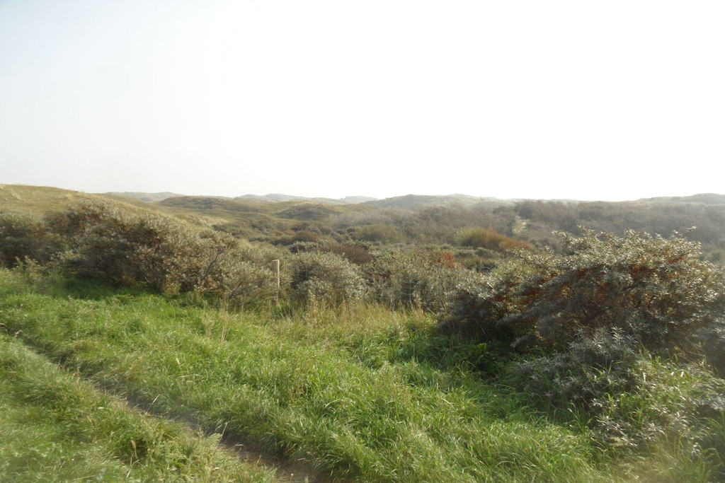 445108 - Niet-getagd