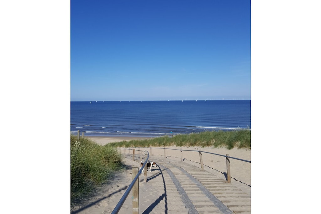445108 - Niet-getagd