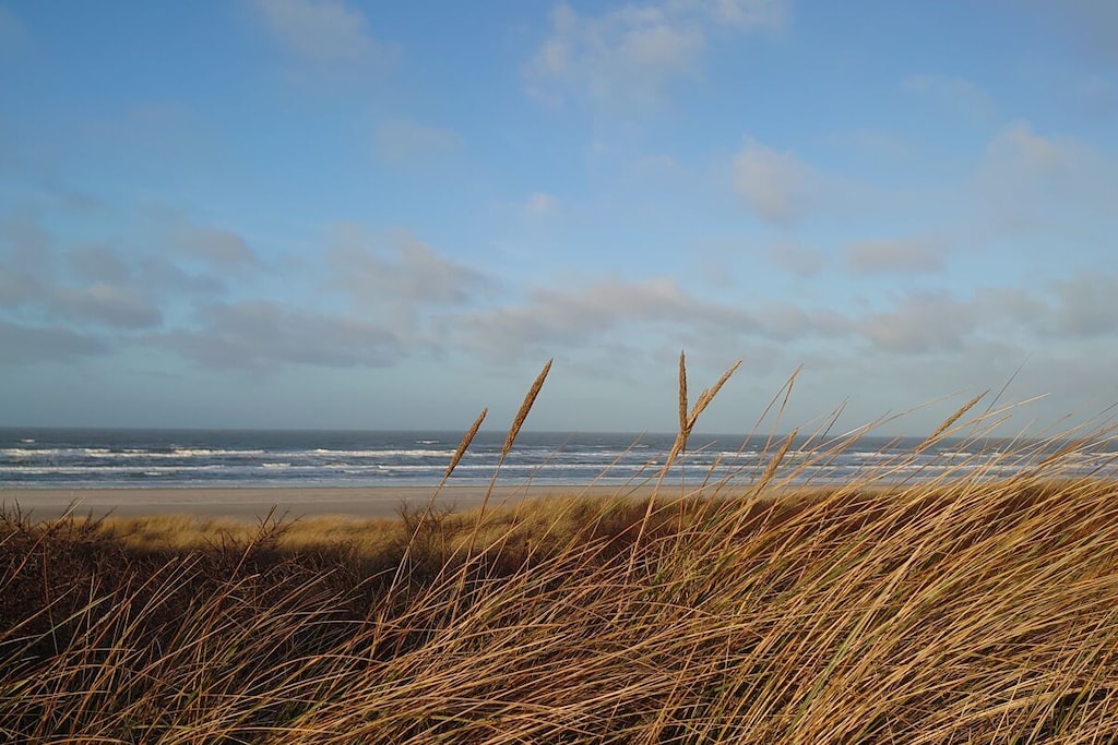 297320 - Niet-getagd