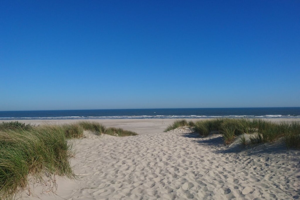 297320 - Niet-getagd