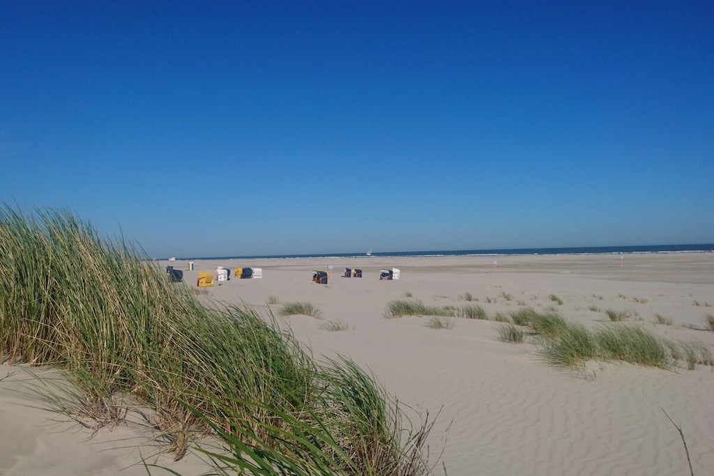 297320 - Niet-getagd