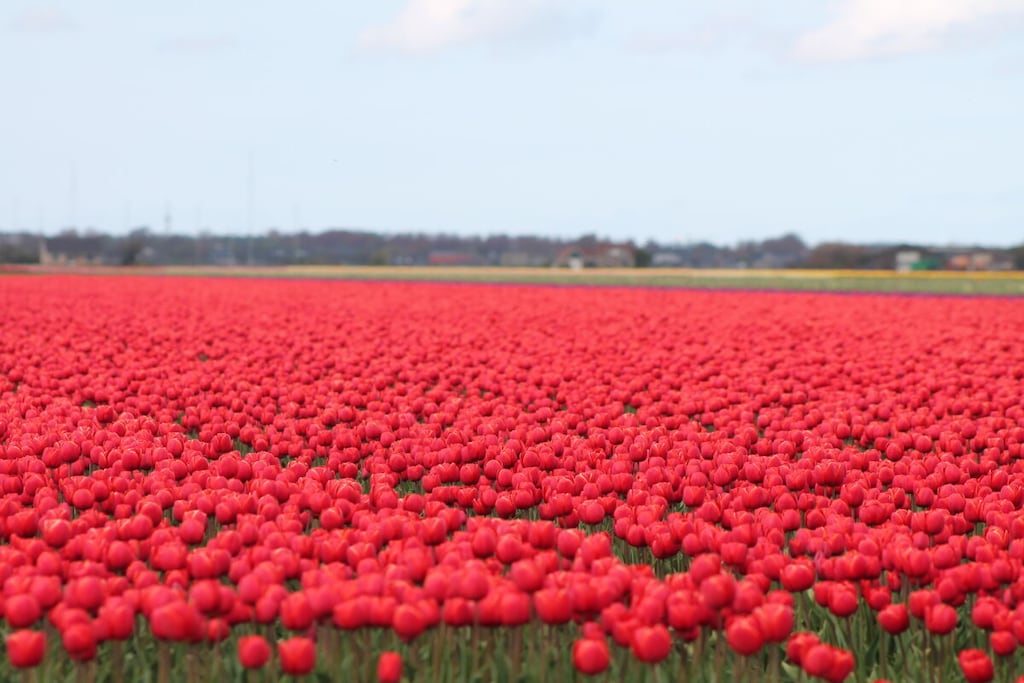 636510 - Niet-getagd