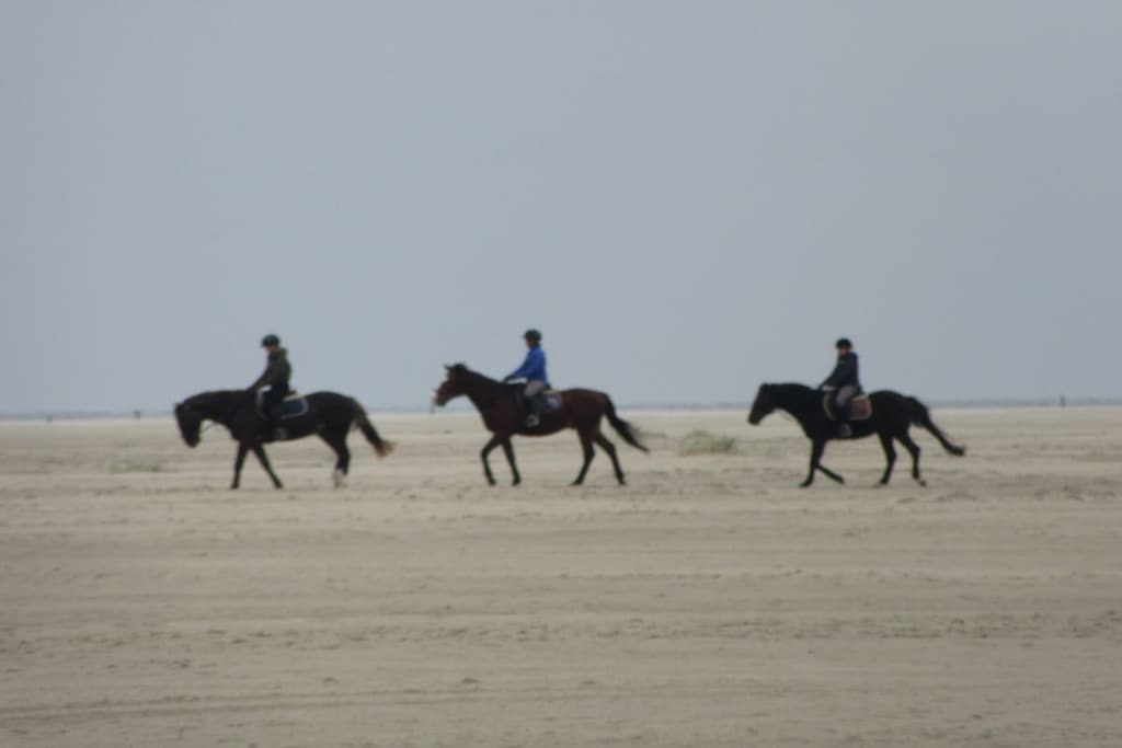 46581 - Niet-getagd