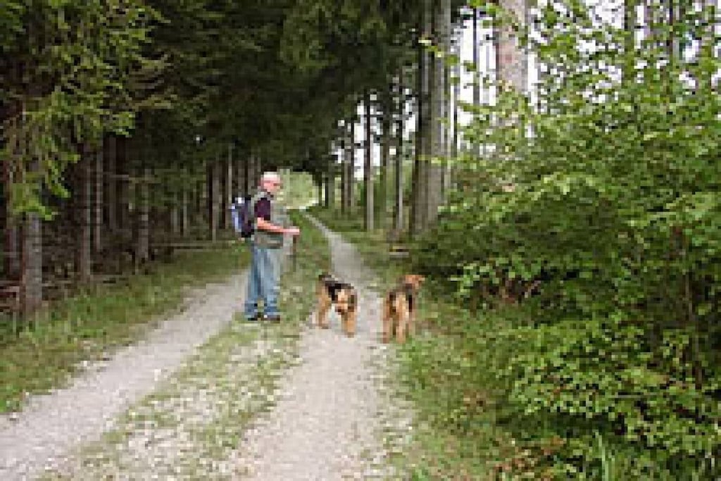 3125 - Nicht zugeordnet