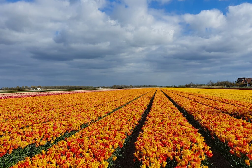 636819 - Niet-getagd