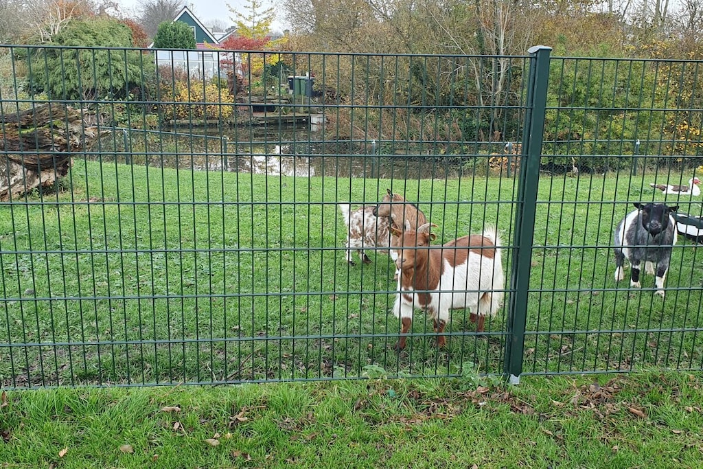 636819 - Niet-getagd