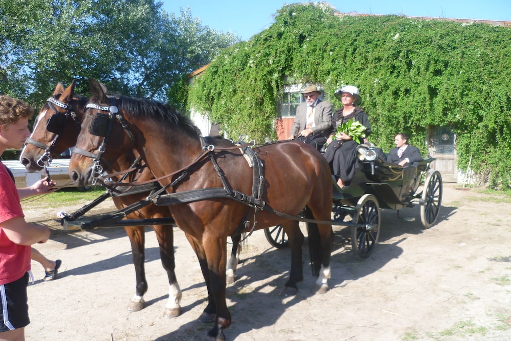60675 - Niet-getagd
