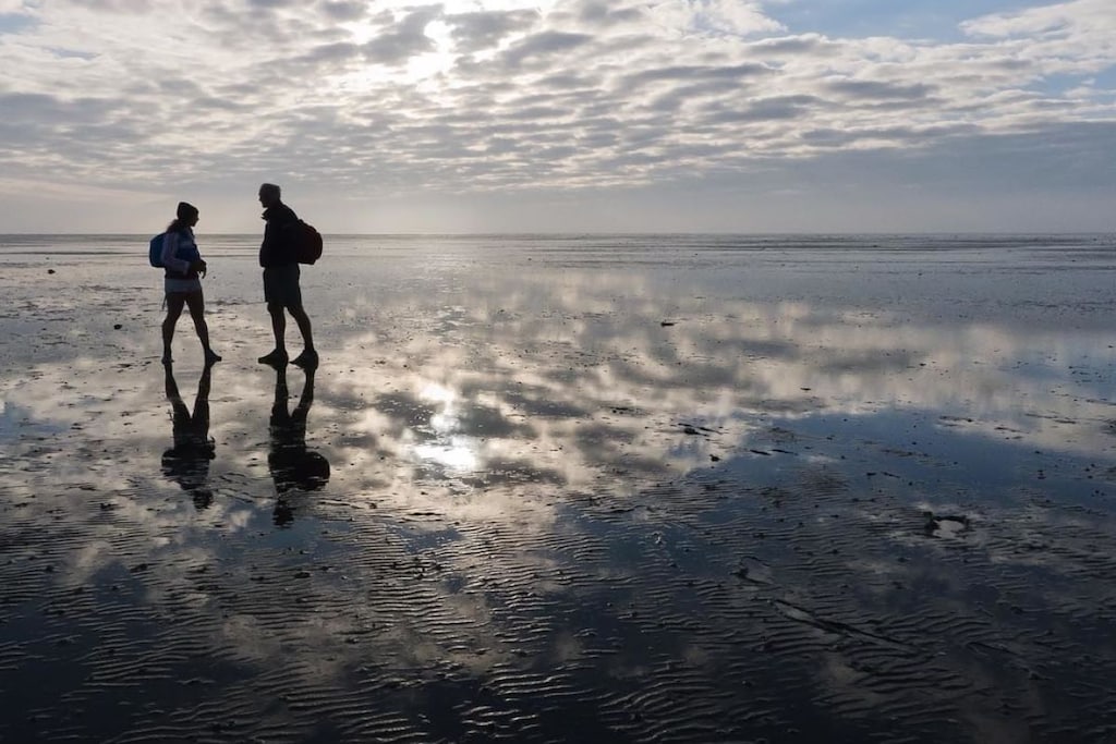 36271 - Untagged