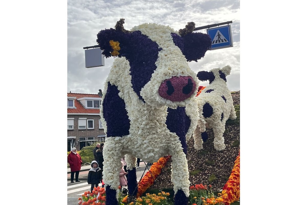 435662 - Niet-getagd