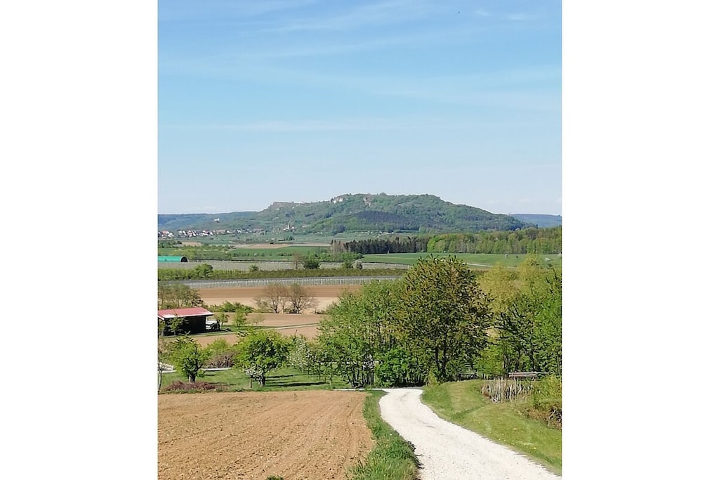 67753 - Nicht zugeordnet