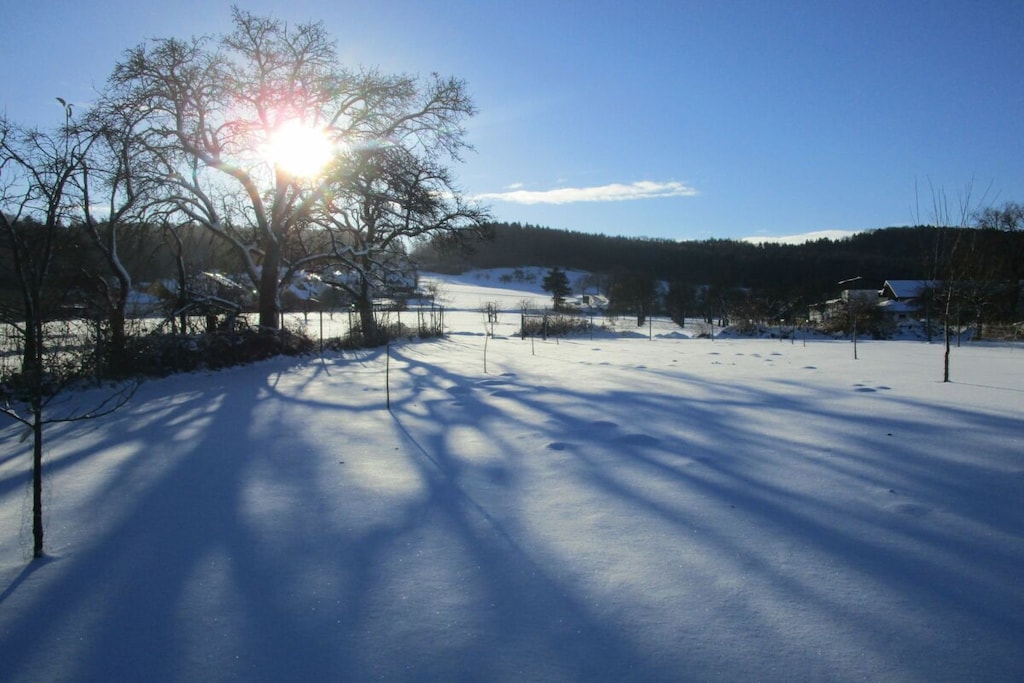 67753 - Nicht zugeordnet