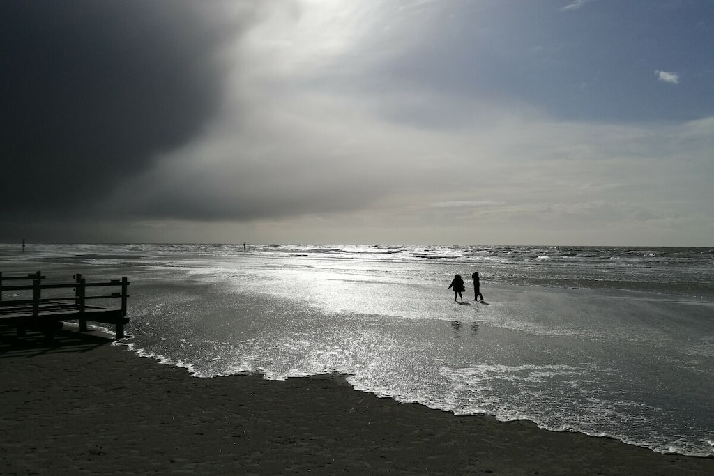 81258 - Niet-getagd
