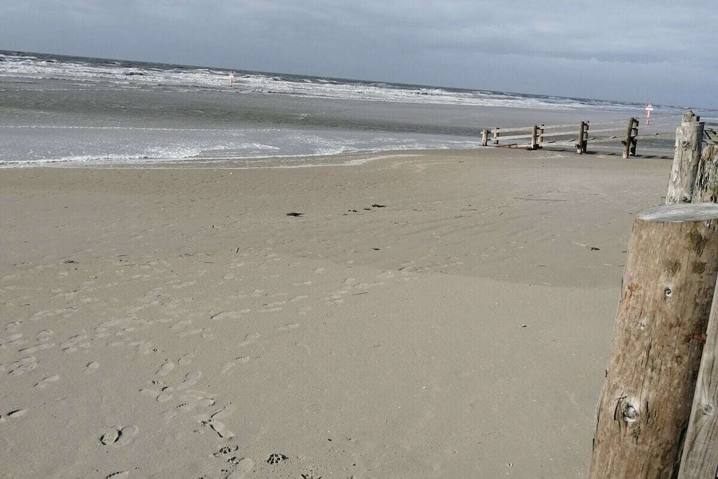 81258 - Niet-getagd
