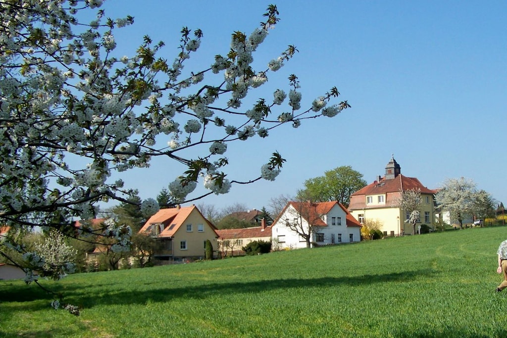 41748 - Niet-getagd