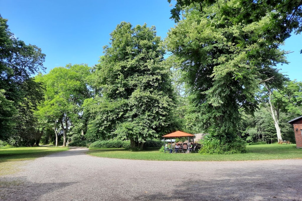 380773 - Niet-getagd