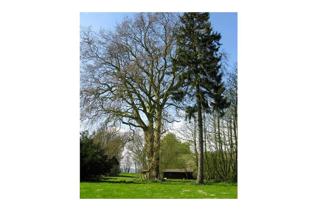 380773 - Niet-getagd