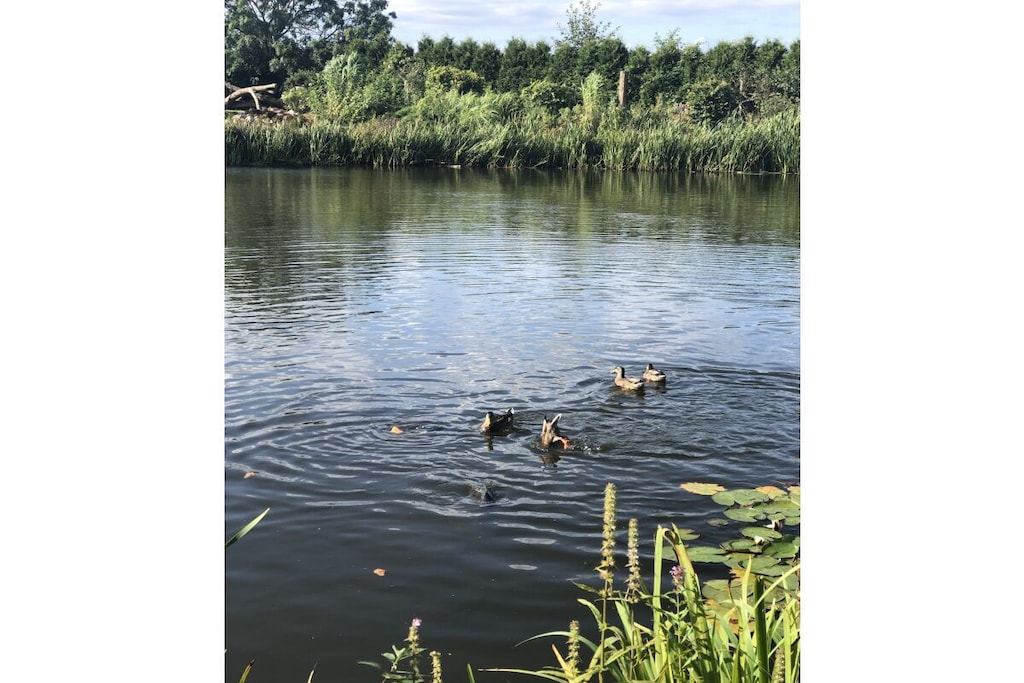 9791 - Niet-getagd