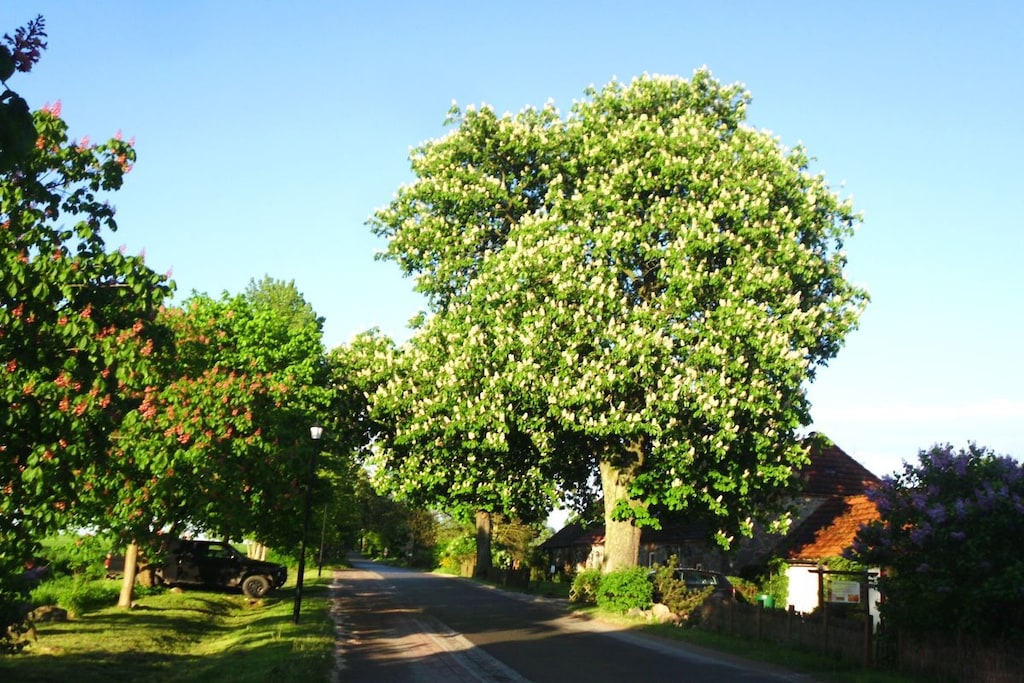 90257 - Niet-getagd