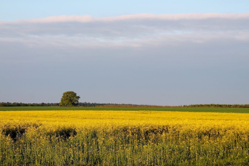 90257 - Niet-getagd