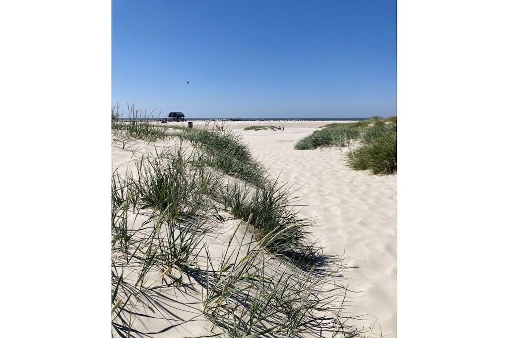 115908 - Niet-getagd
