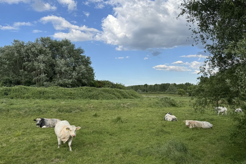 633003 - Niet-getagd