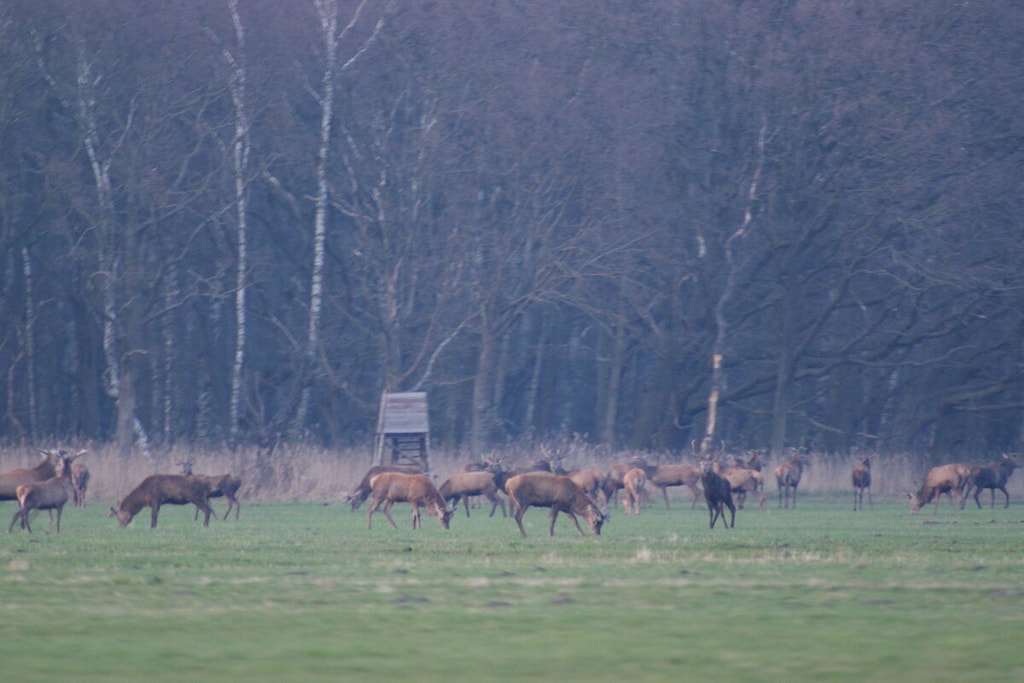 546185 - Niet-getagd