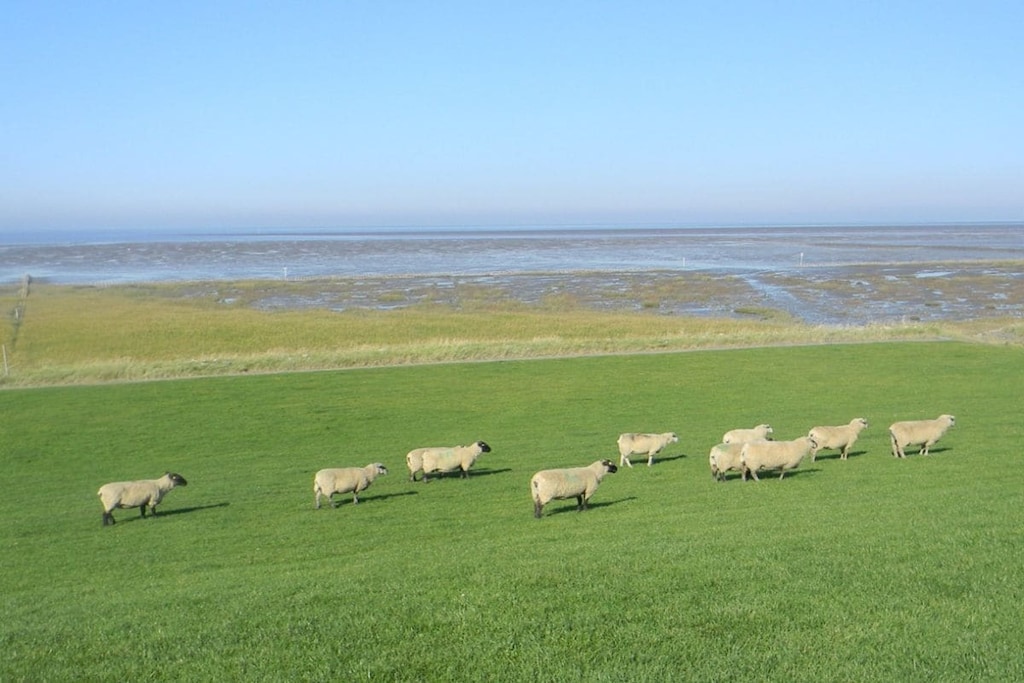 33806 - Niet-getagd