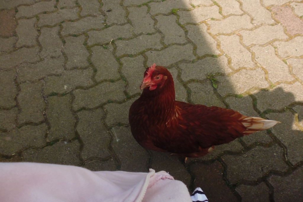 234802 - Niet-getagd